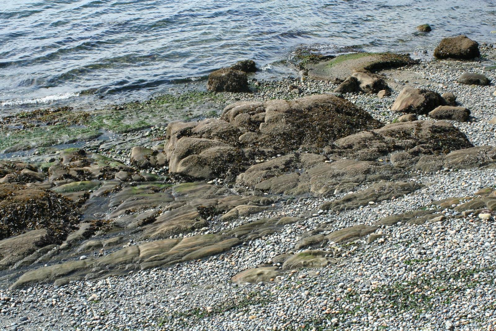 Tan flat-bedded Blakeley Formation sandstone exposed at low tide on the shoreline of Alki Beach, West Seattle, with the city skyline beyond.