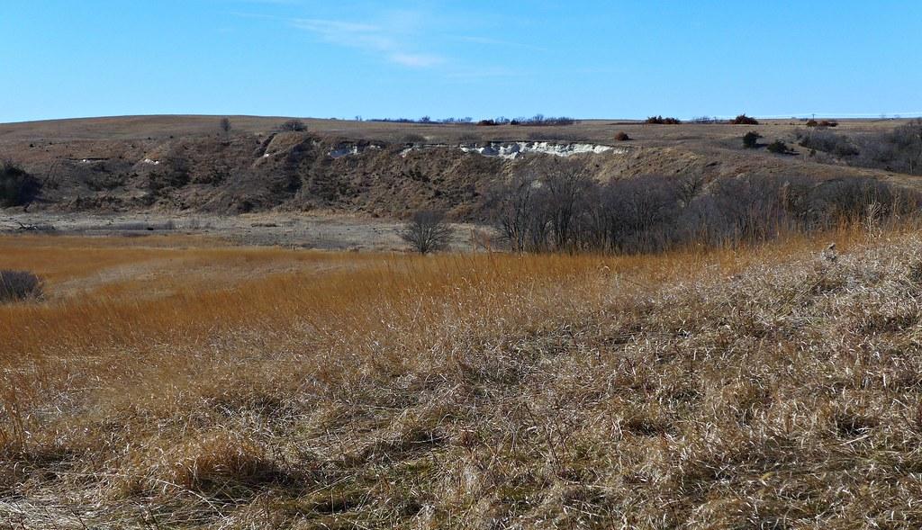 Tall prairie grasses in the foreground with low chalk bluffs in the distance at Ashfall Fossil Beds, Nebraska.