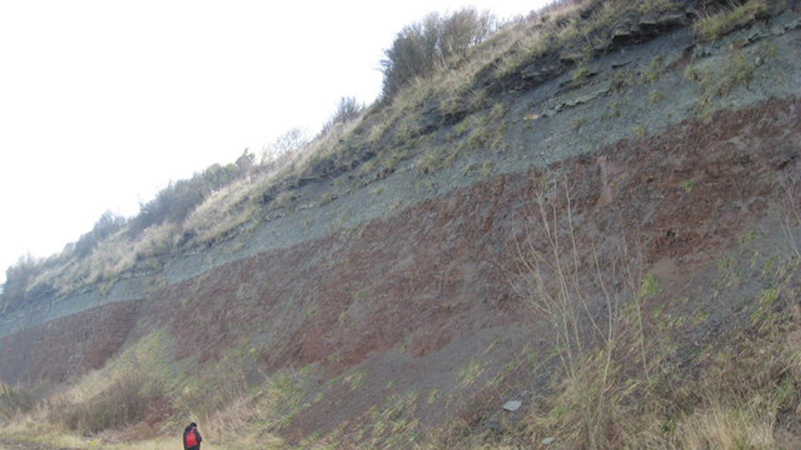 A Guide to the Fossils of Aust Cliff