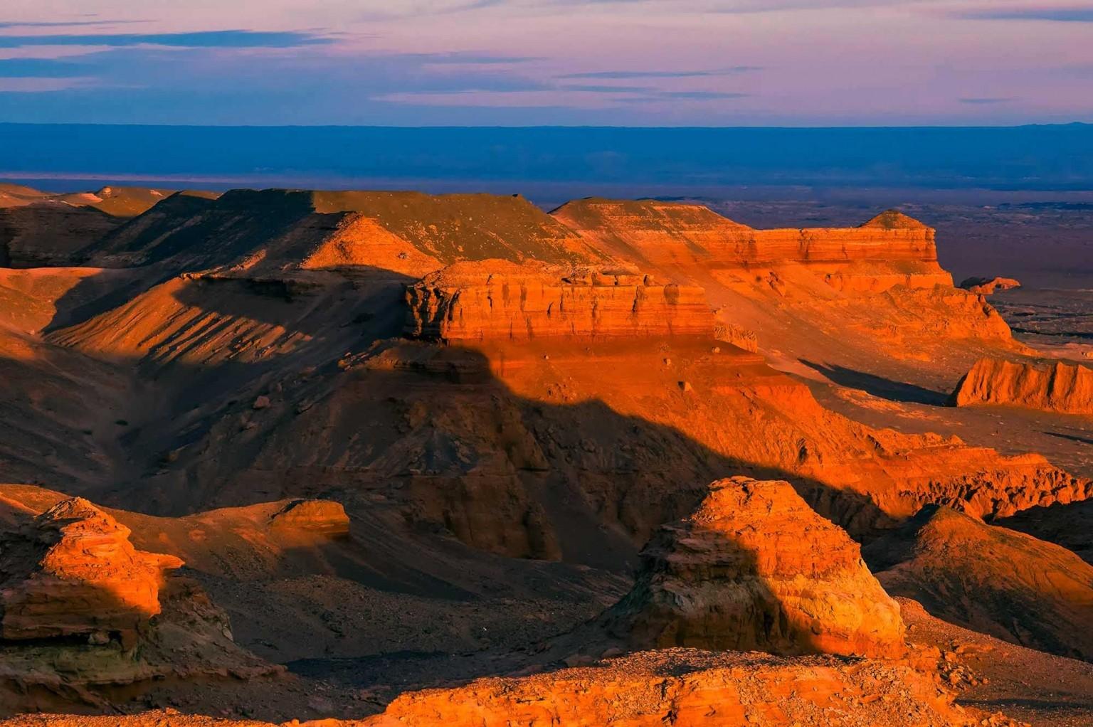 Bayanzag Flaming Cliffs Fossil Guide