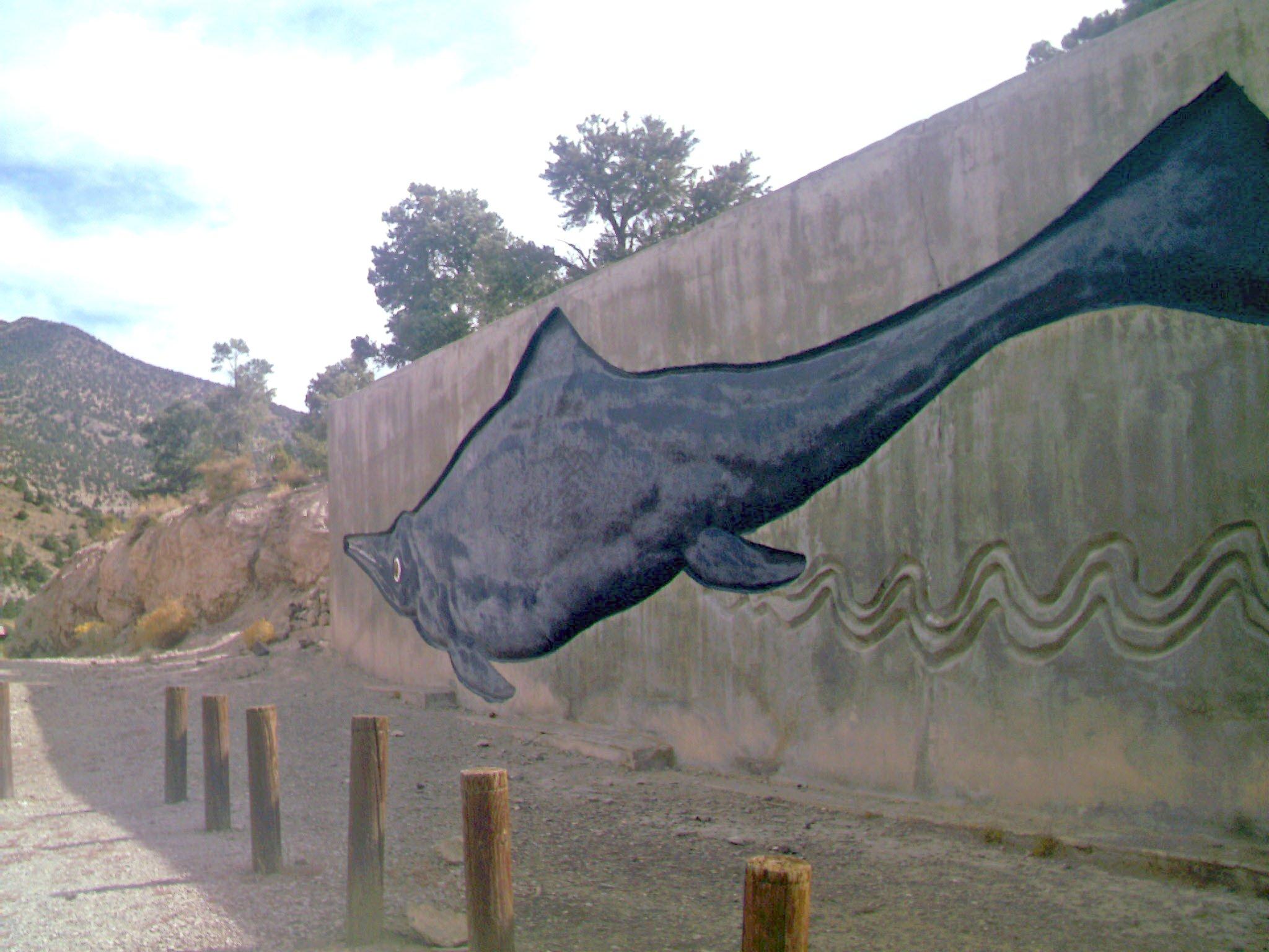 Large painted mural of a marine reptile on a concrete retaining wall along the path at Berlin-Ichthyosaur State Park.