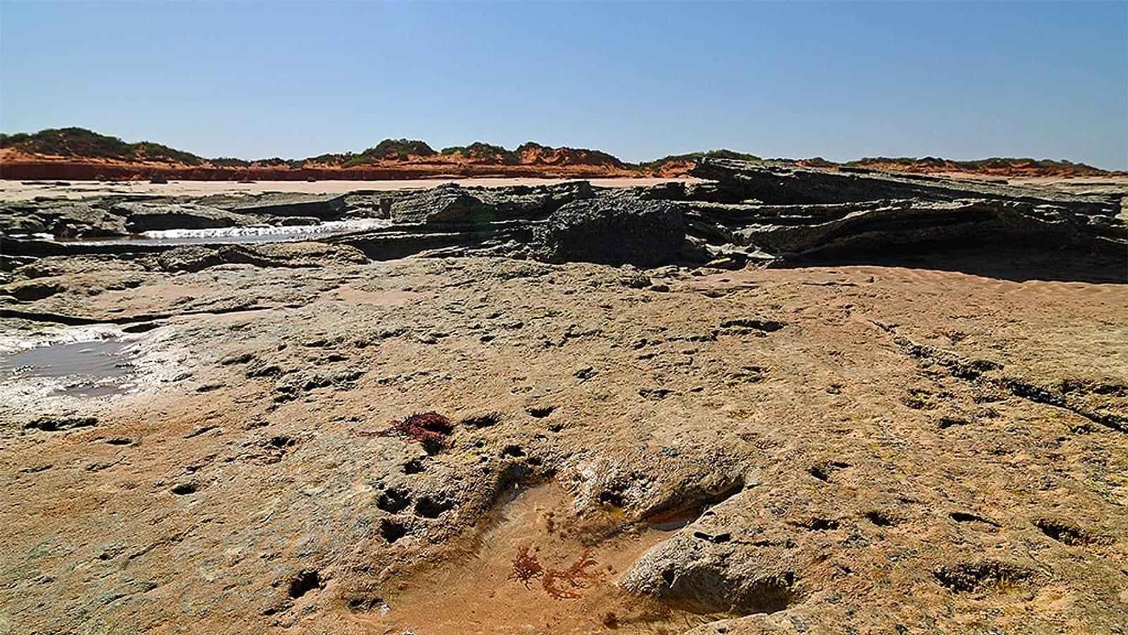 Broome Dinosaur Trackways Gantheaume Point Western Australia