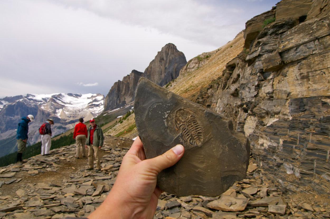 Burgess Shale Fossil Hike Guide