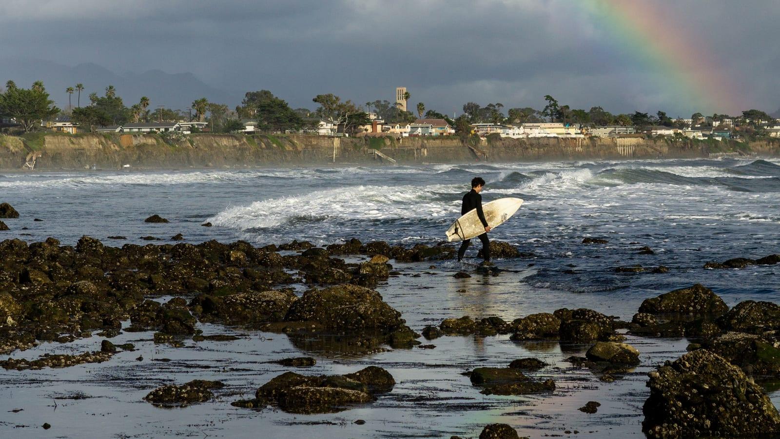 Where to Find Fossils at Coal Point, Isla Vista