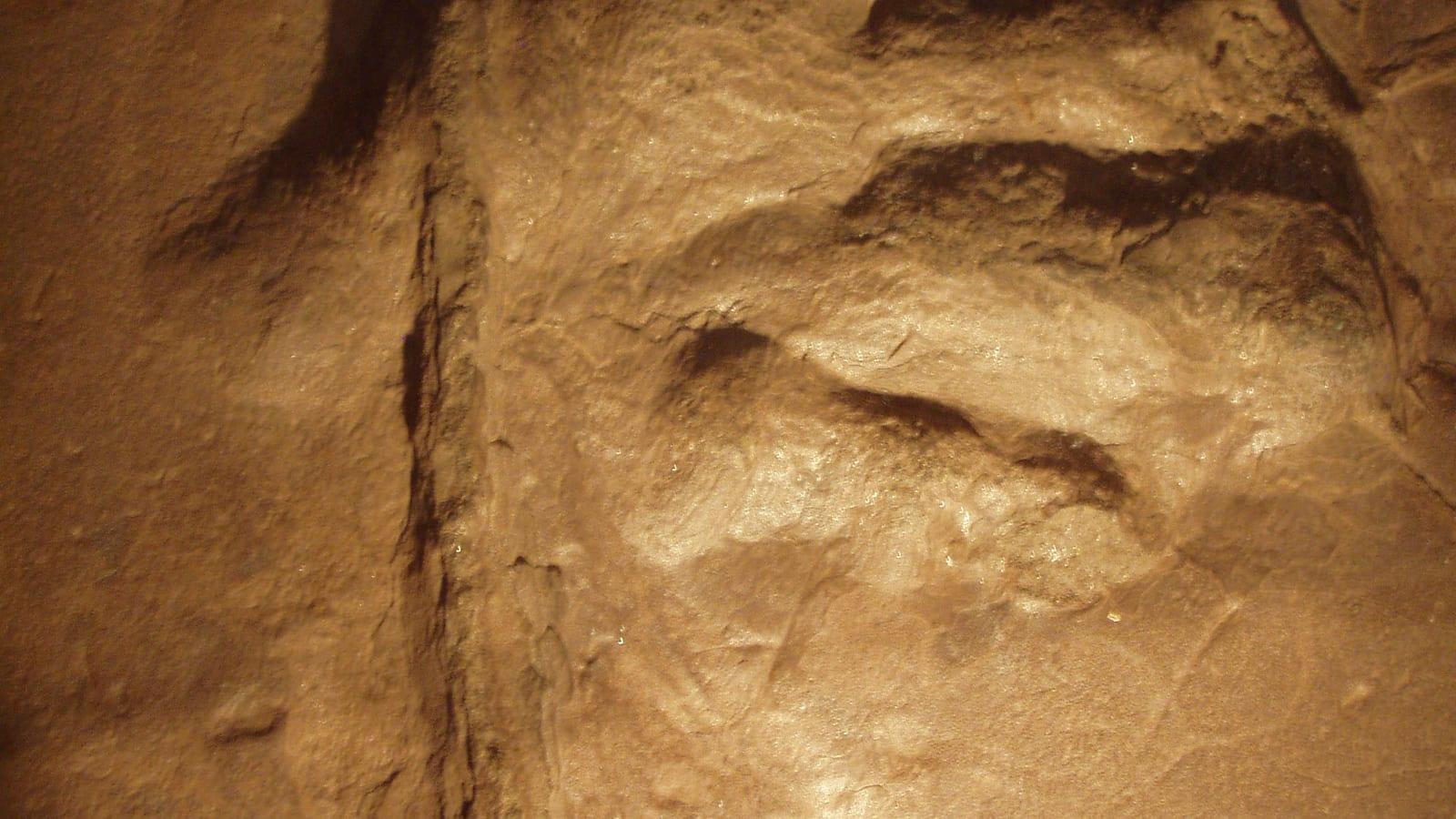Dinosaur State Park : dinosaur tracks (trackways) in Rocky Hill, Connecticut