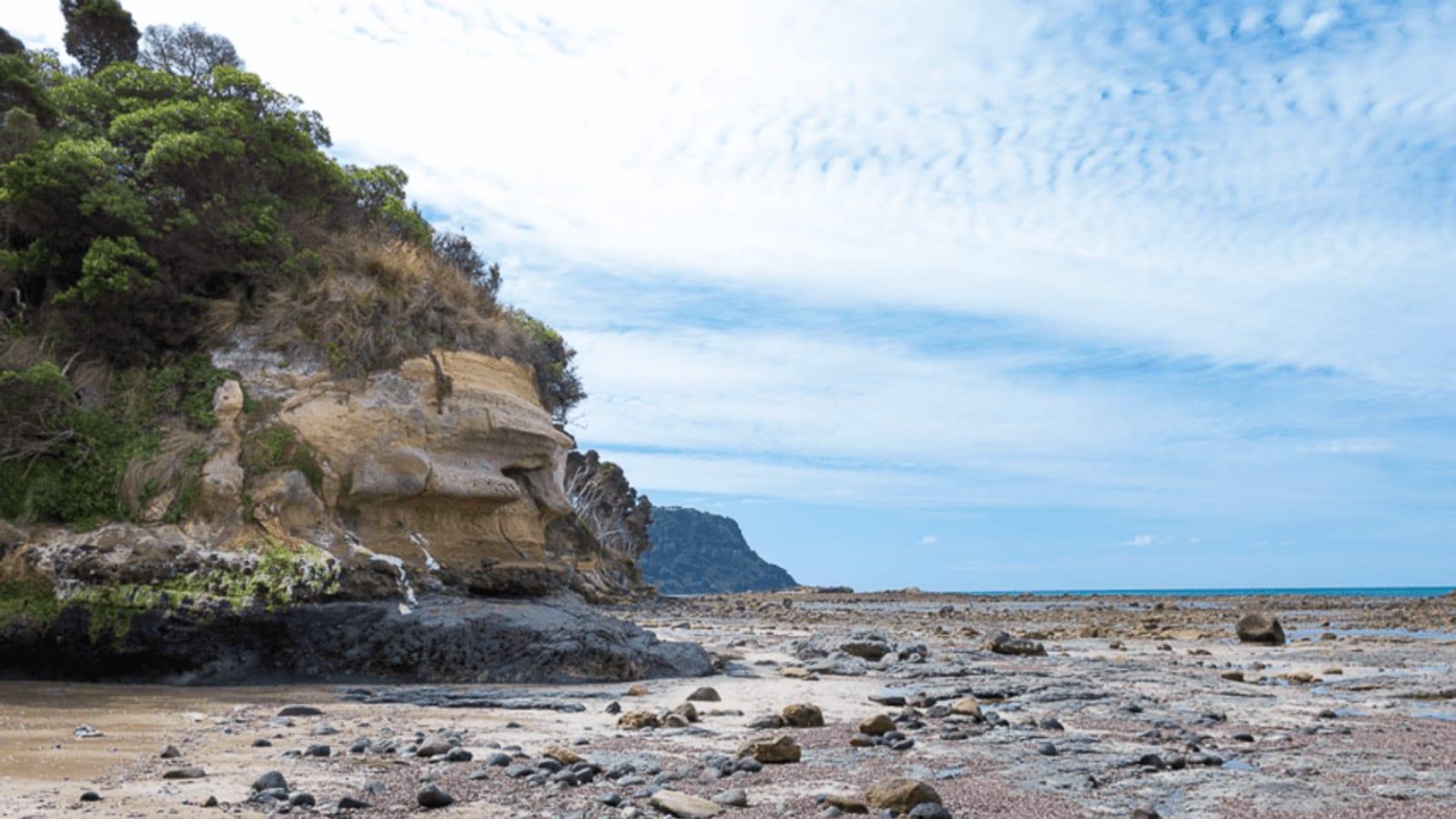 Fossil Bluff Wynyard: Oldest Marsupial, Glacial Deposits, Tasmania