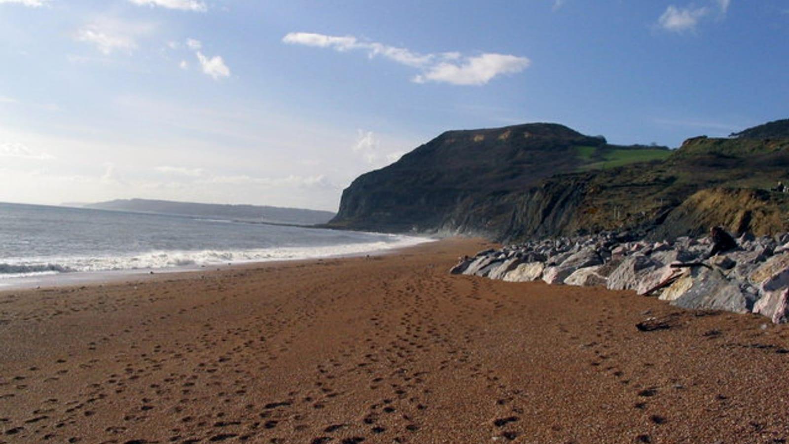 The Ultimate Guide to Fossil Collecting at Seatown and Golden Cap