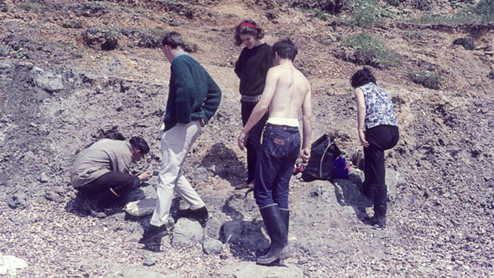Everything You Need to Know About Fossil Hunting at Barton on Sea