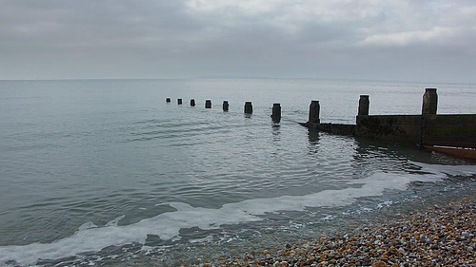 Fossil Hunting Bracklesham Bay