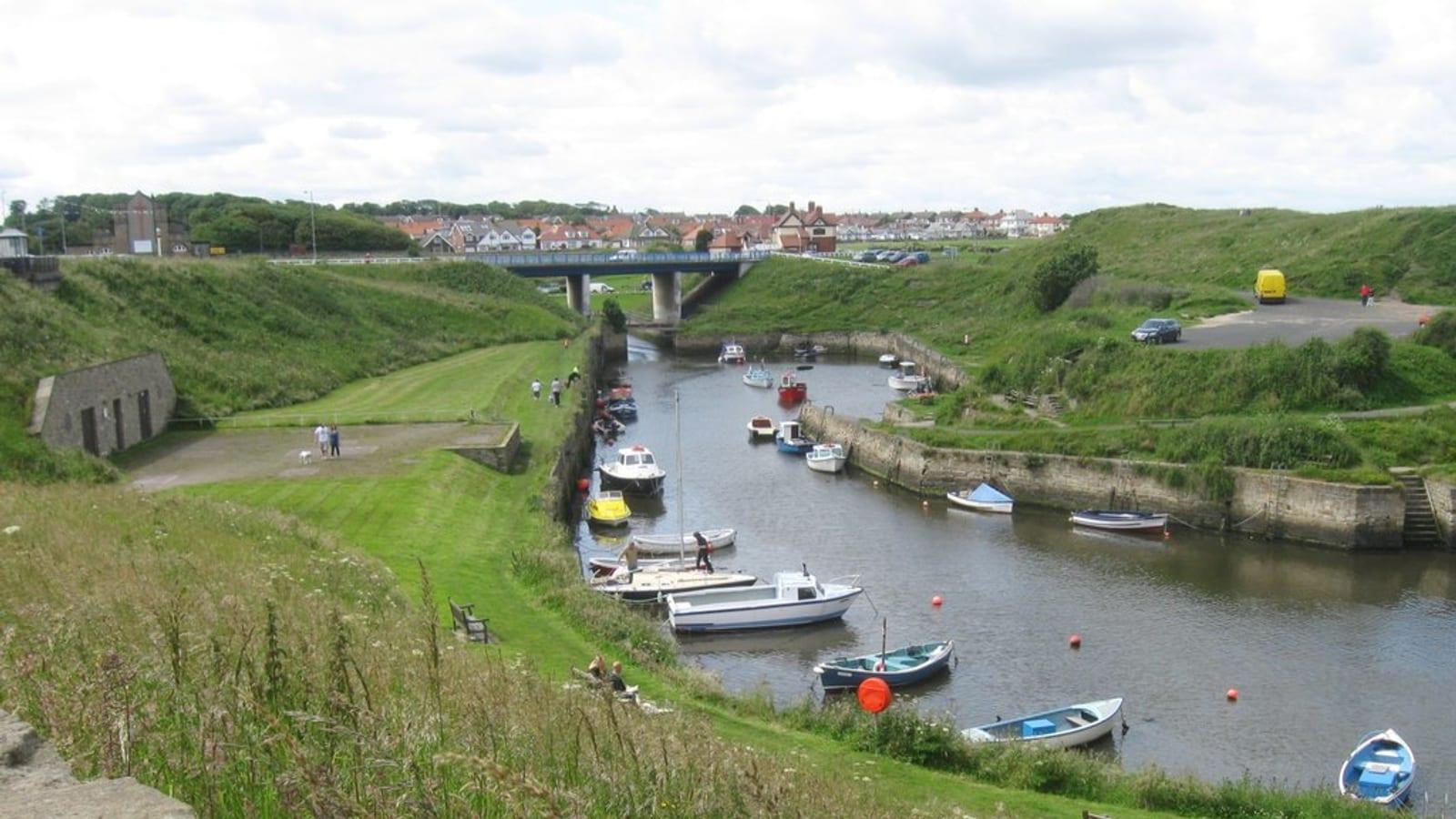 Fossil Hunting Seaton Sluice Northumberland Carboniferous