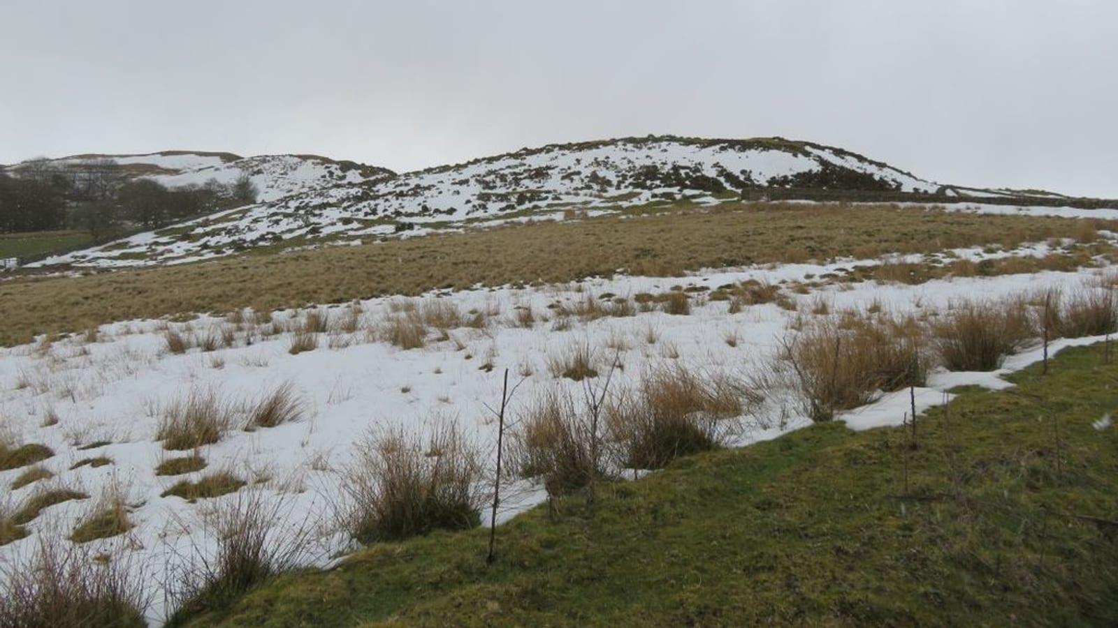 Fossil Hunting Upper Gilwern Hill Wales