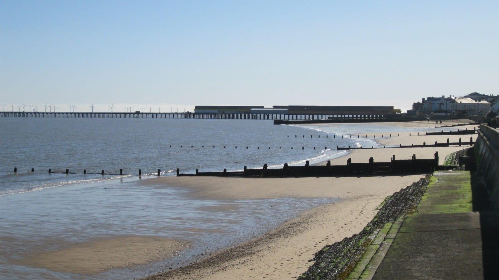 The Essential Guide to Fossil Hunting at Walton-on-the-Naze