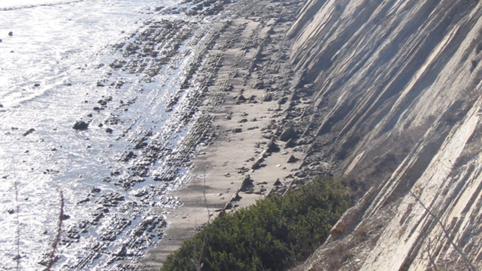 Where to Find Fossils on Gaviota Beach