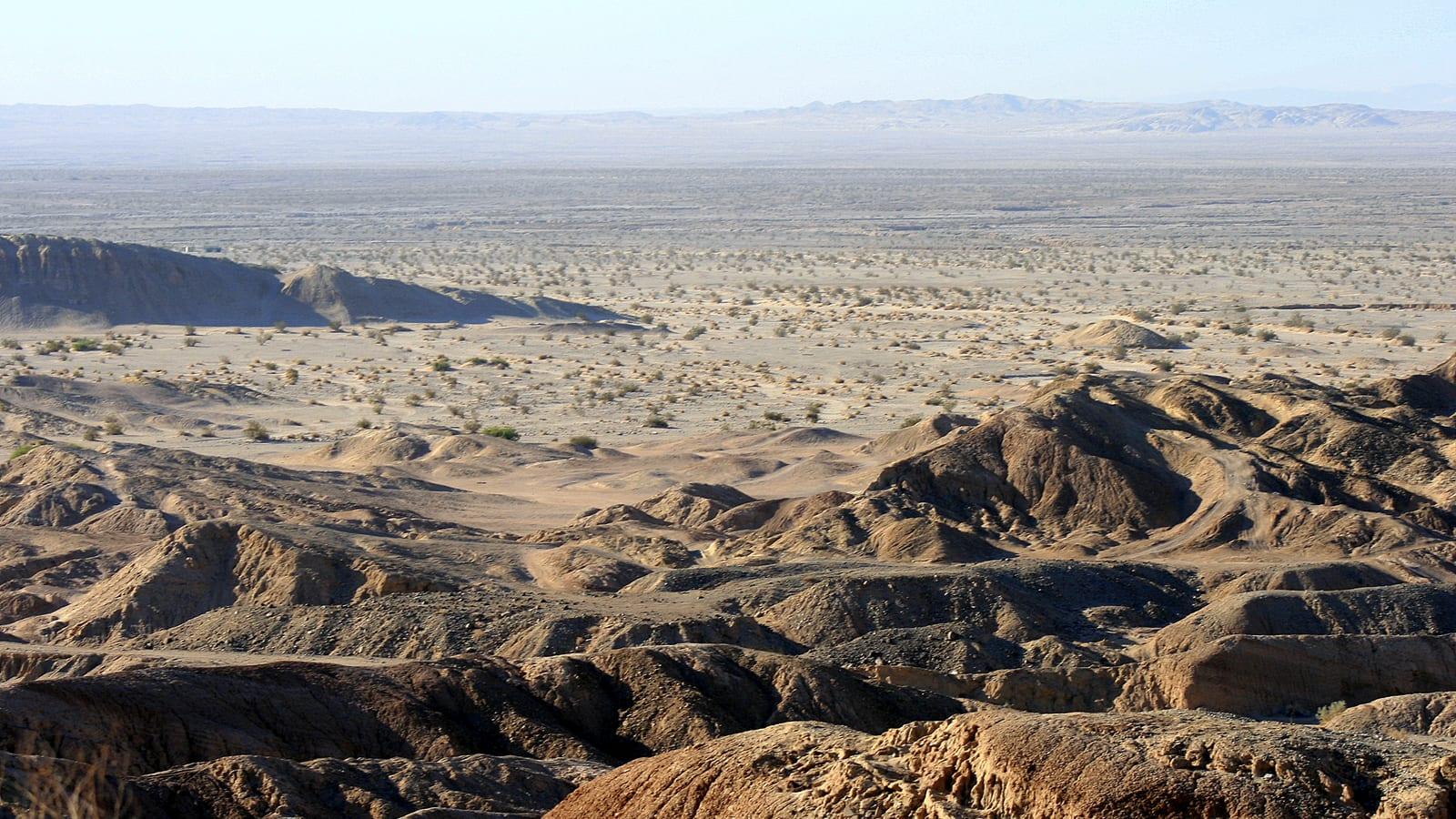 Guide on Finding Fossils in Ocotillo, CA
