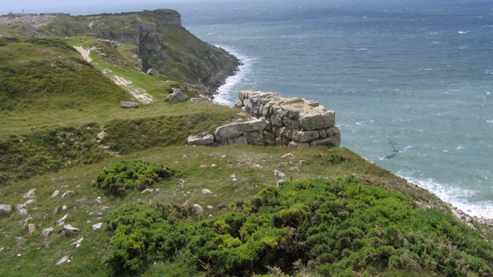 Isle of Portland Fossil Hunting Guide