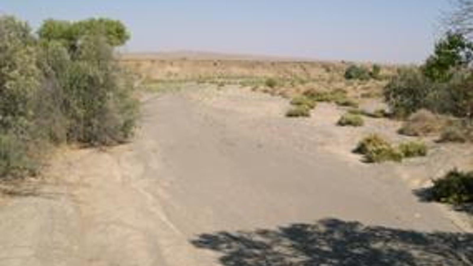 Finding Fossils in Jacalitos Creek