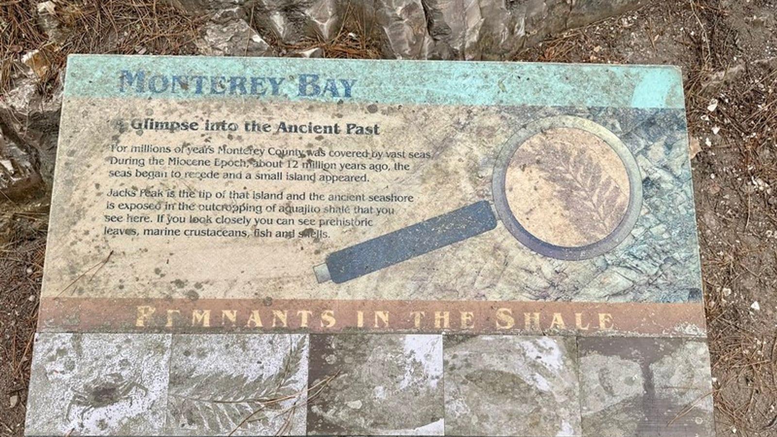 Shale outcrops along the Coffeeberry Trail at Jacks Peak County Park, Monterey, California