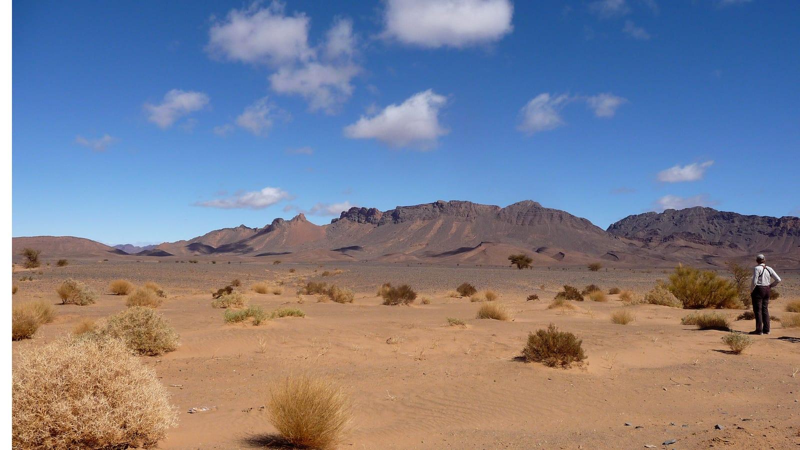 Jbel el Mrakib Devonian Reef Site Rissani Morocco