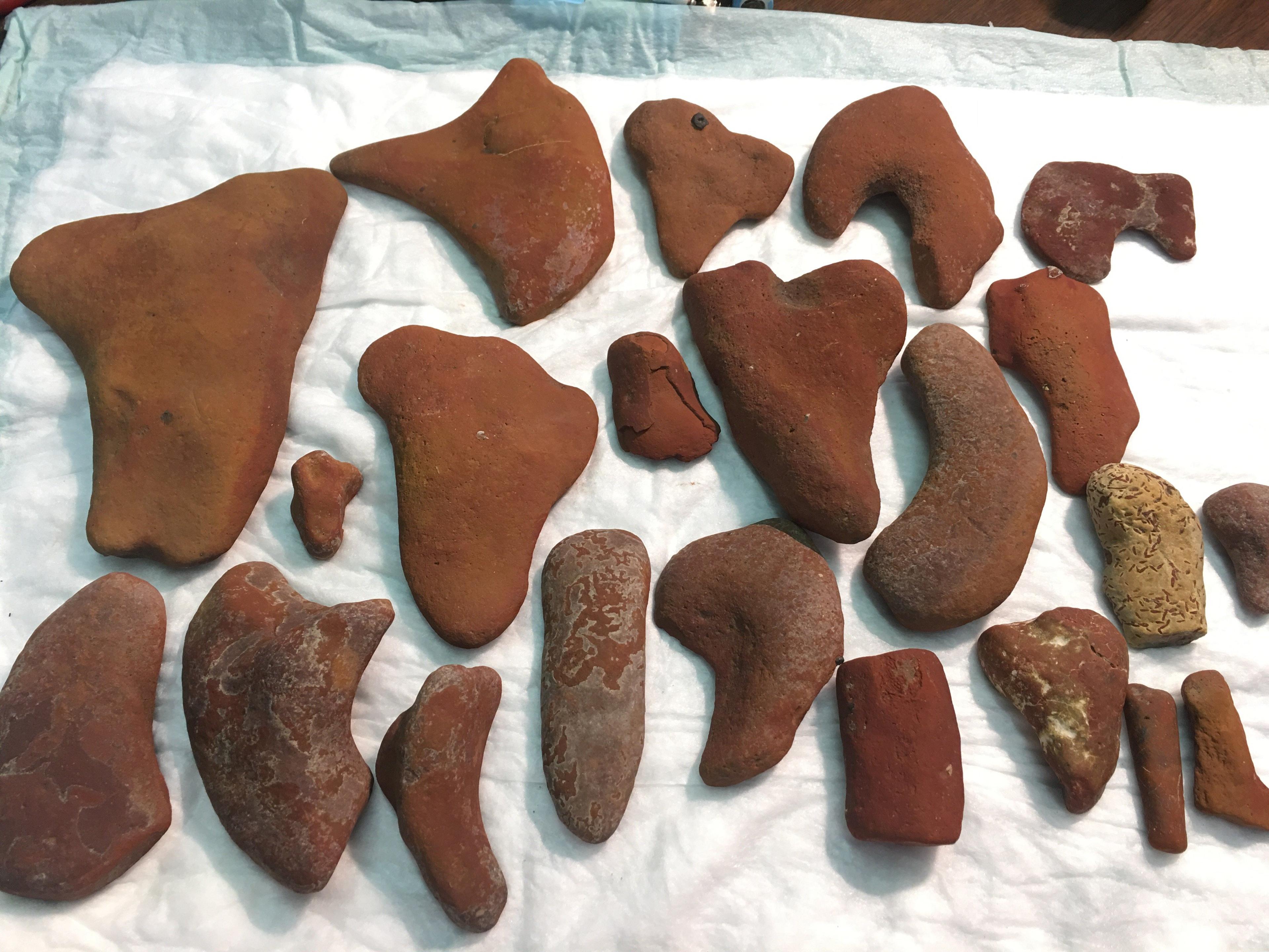 Ladonia Fossil Park Guide