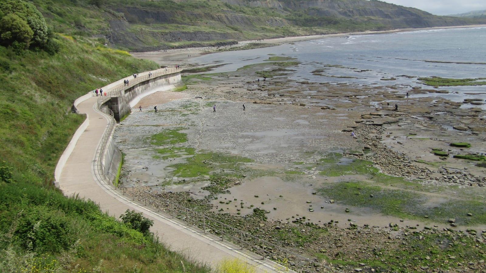 Lyme Regis Church Cliffs Fossil Hunting Guide