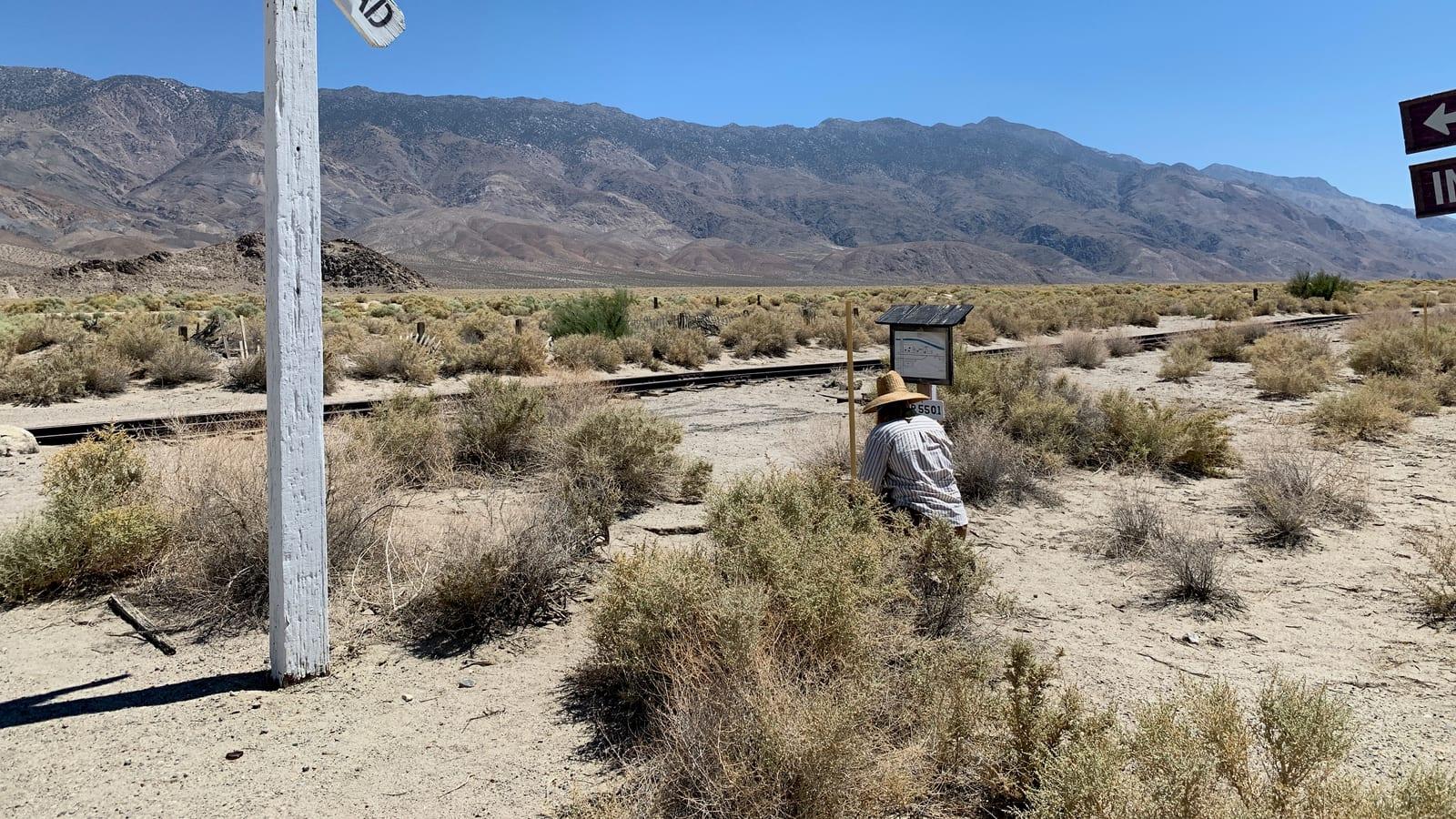 Finding Fossils in Mazourka Canyon
