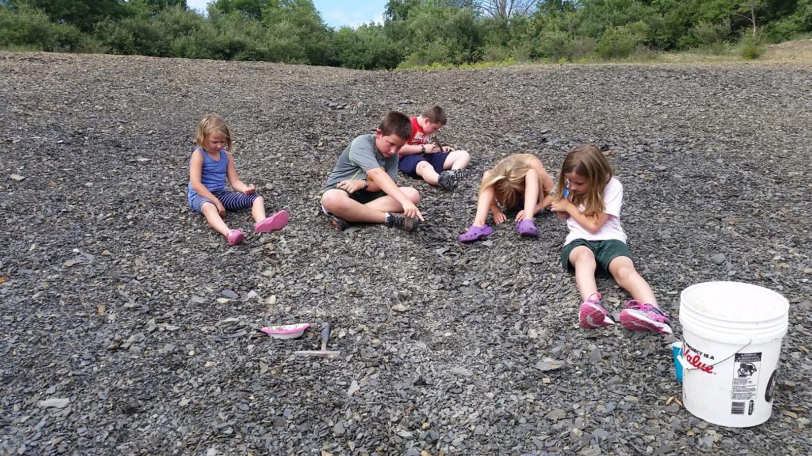 Children sitting on a grey shale spoil heap sifting fragments with a white bucket nearby at Montour Preserve fossil pit.