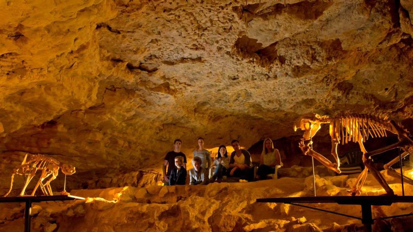 Naracoorte Caves: World Heritage Megafauna, Fossil Chamber, SA