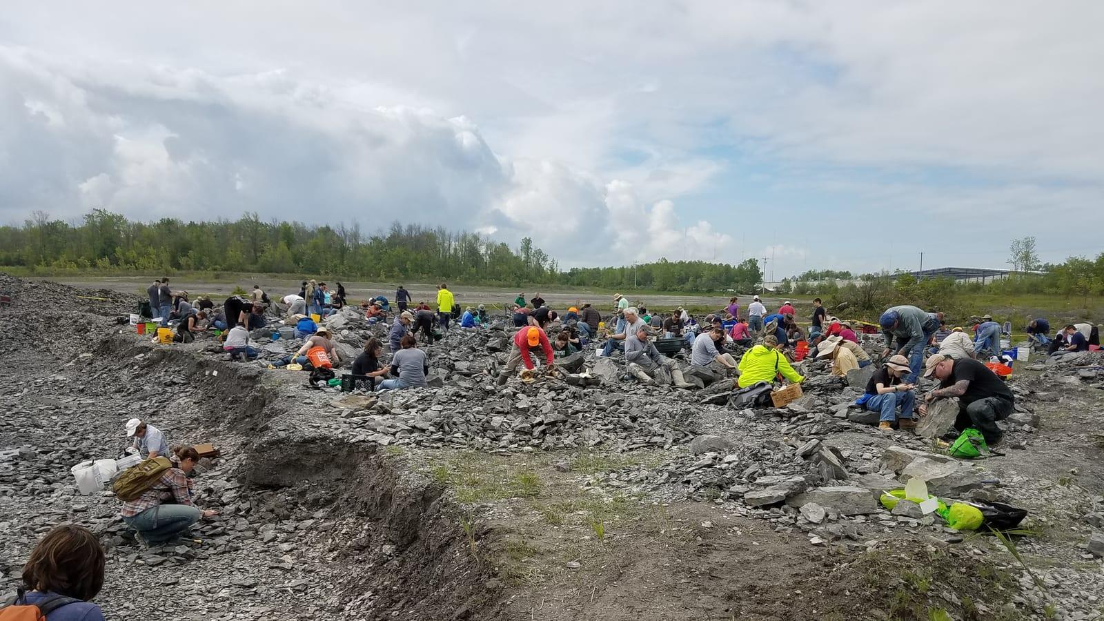 Dozens of visitors digging across a layered shale spoil field with buckets and tools on a busy day at Penn Dixie, NY.