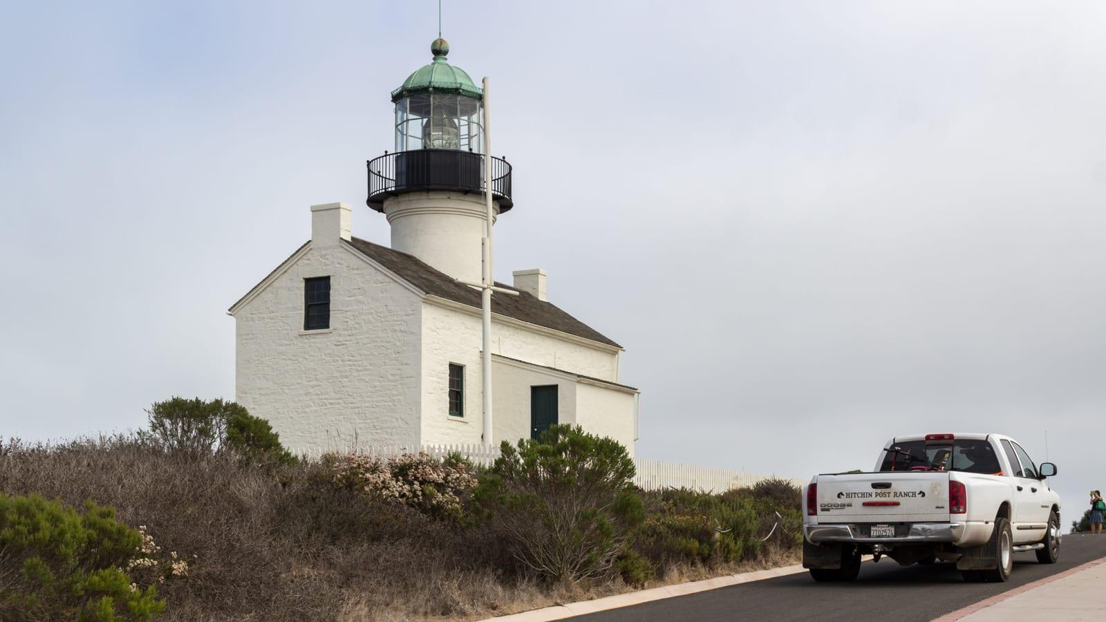 Ultimate Guide to Finding Fossils at Point Loma