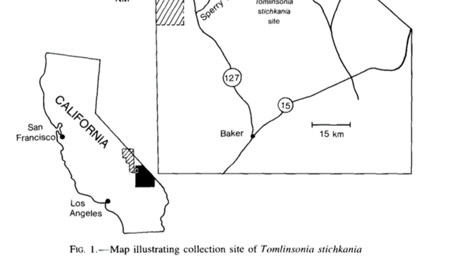 Where to Find Fossils at Sperry Wash