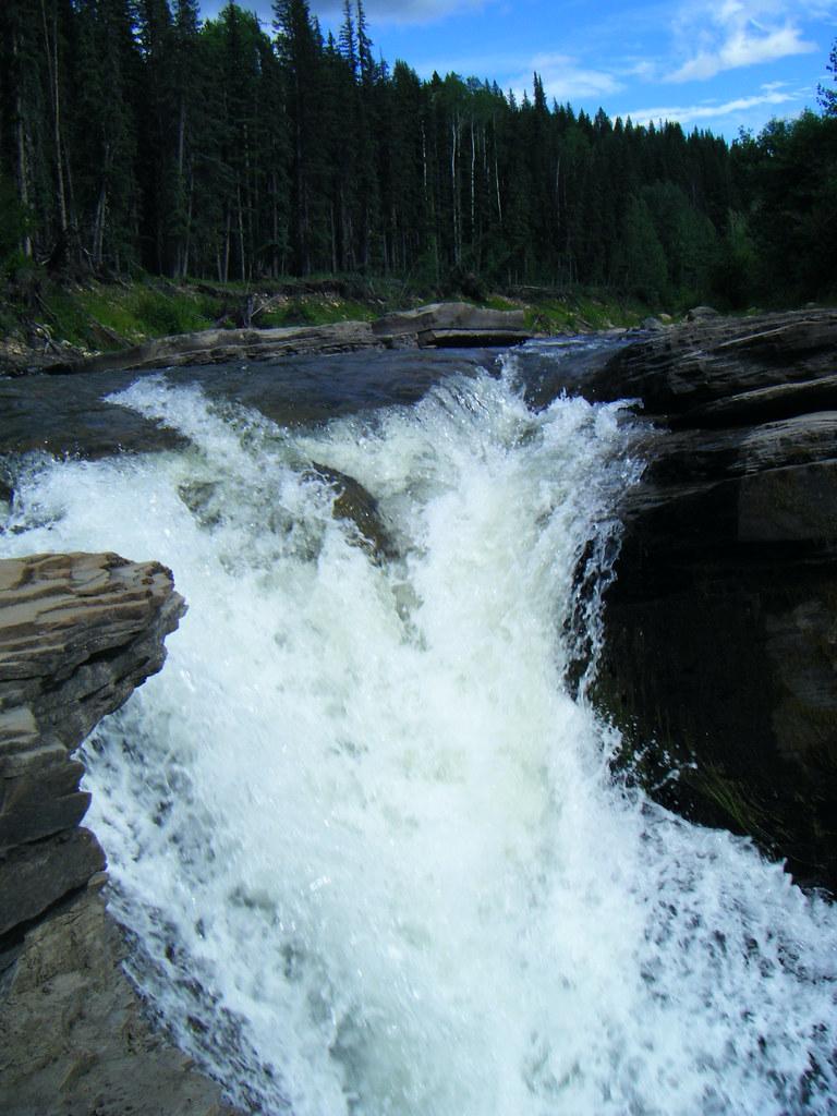 Whitewater plunging over a rocky waterfall through dense evergreen forest in Tumbler Ridge UNESCO Geopark, BC.