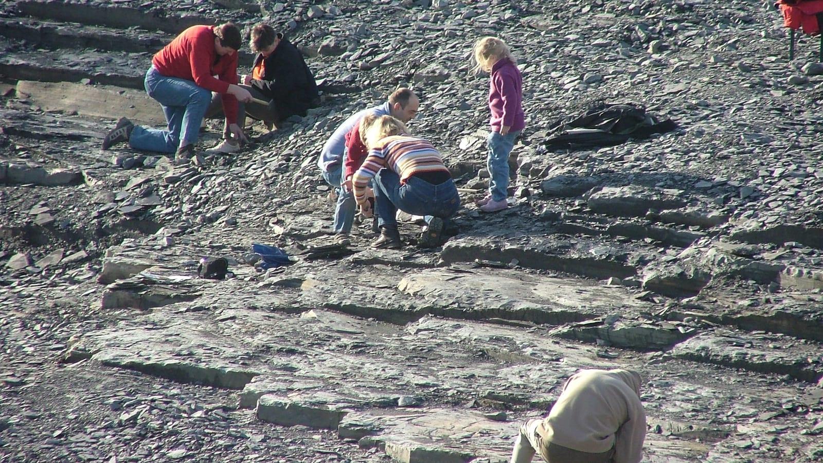 Urweltsteinbruch Holzmaden Posidonia Shale Fossil Site