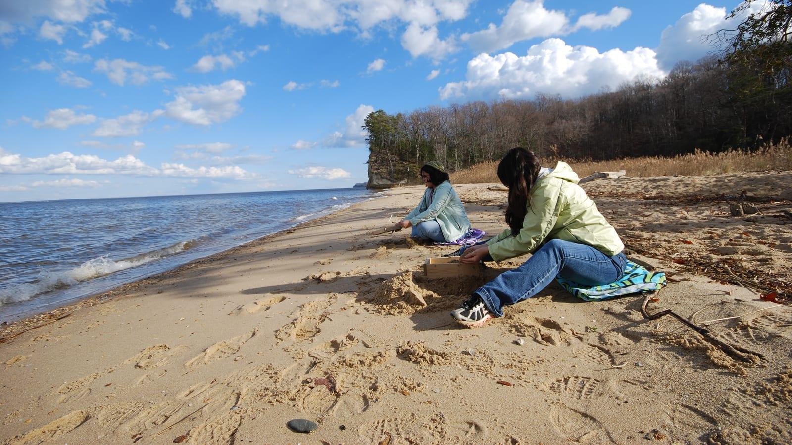 Westmoreland State Park: shark teeth, whale teeth, shells, and marine mammal fossils in Montross, Virginia