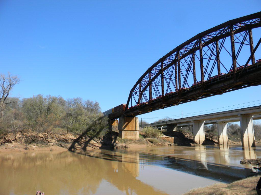 Whiskey Bridge Stone City Bluff Fossil Guide