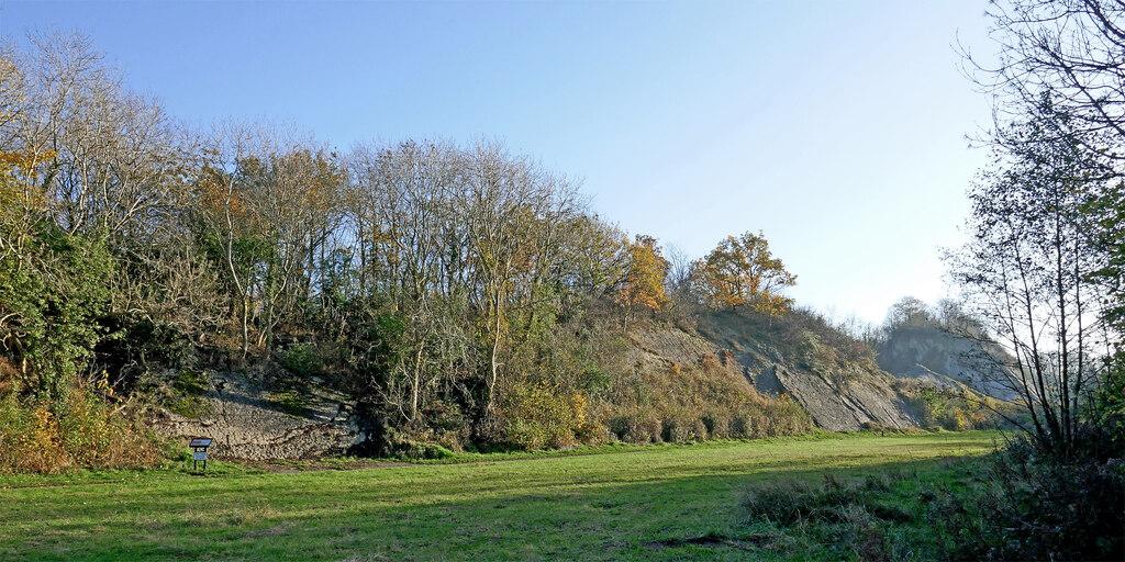 Grassy clearing fringed by autumn trees with a rocky limestone outcrop on the right at Wren's Nest reserve, Dudley.